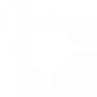 PIC_light.png