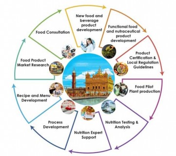 Food consultants in Punjab