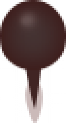wwww.png