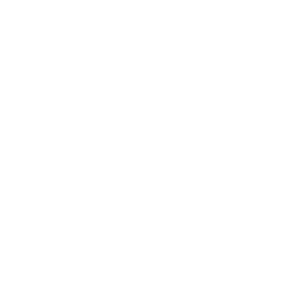 tz2.png