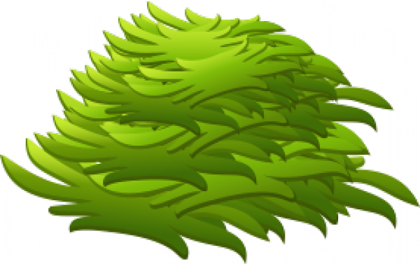 cow-grass_.png