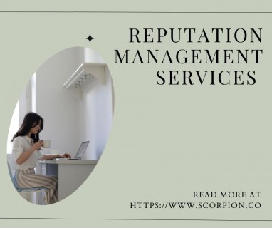 Reputation Management Services 