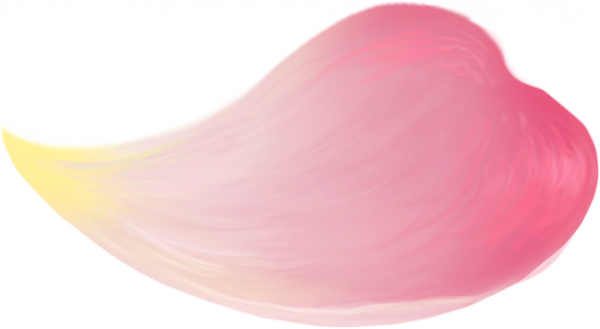 huabai.png