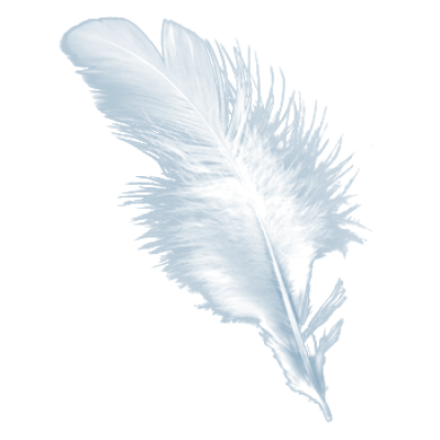feather1.png