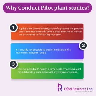 Why is R&D Pilot Plant Manufacturing important for food business?