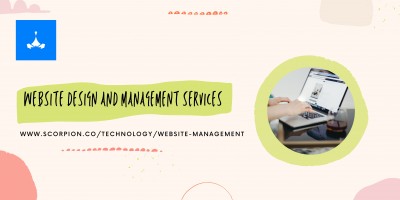 Website Design And Management Services