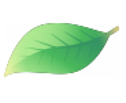 leaf2.png