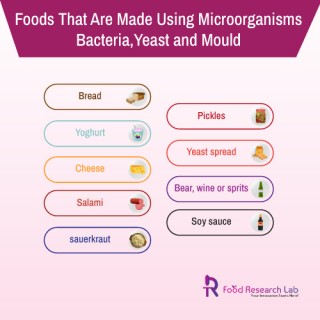 Major Micro-Organism Utilized in the food and beverage sector