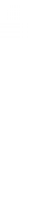 firework3.png