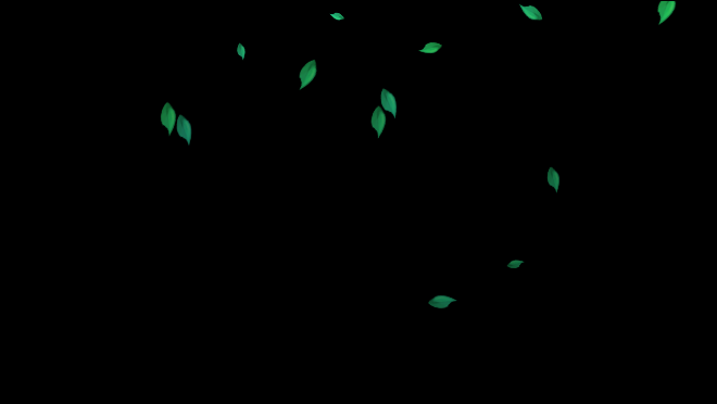 leaf