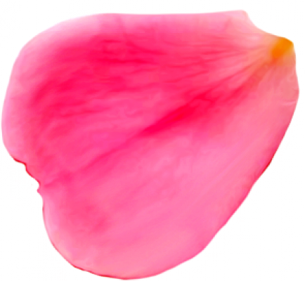 petalo3.png