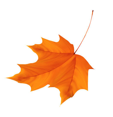 323fb68c84914671431bbcec4870be07ce33e48c32589-vLVjJ2.png