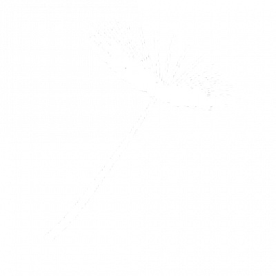 py_00000.png
