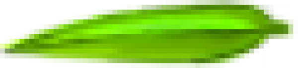 bamboolaefA.png
