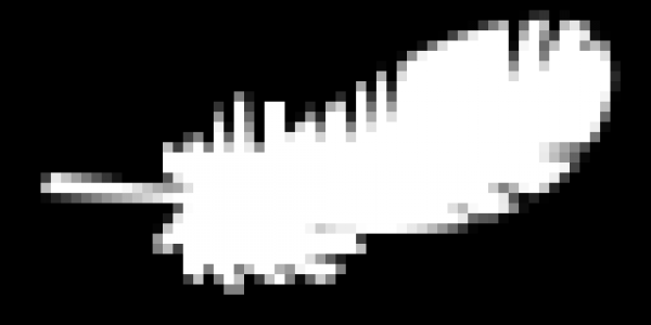 wind_pa.png