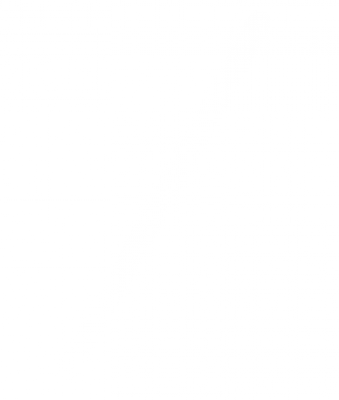 Stripe_Diagonal.png