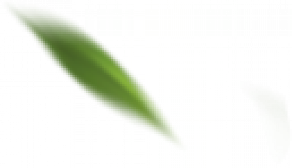 yezi.png