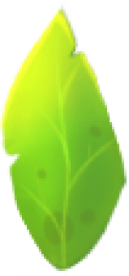 leaf.png