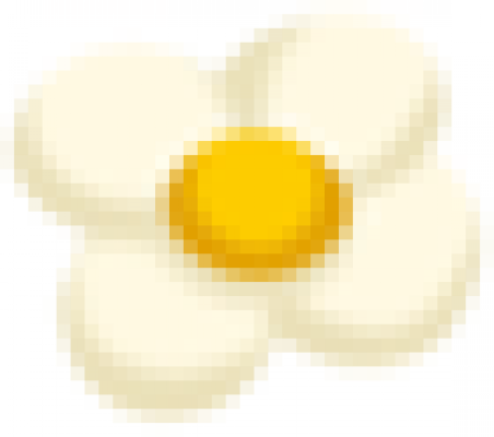 flower.png