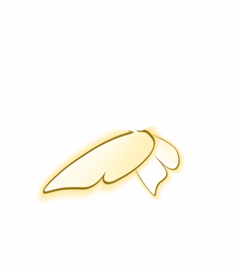 BTF_01.png