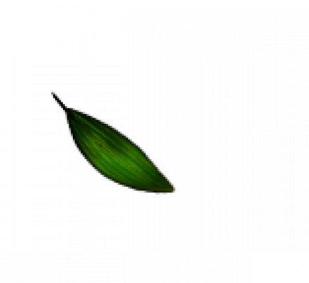zy2_00007.png