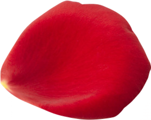 flower_2.png