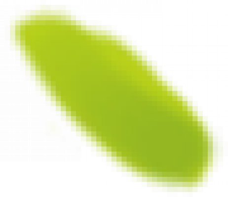 leaf.png