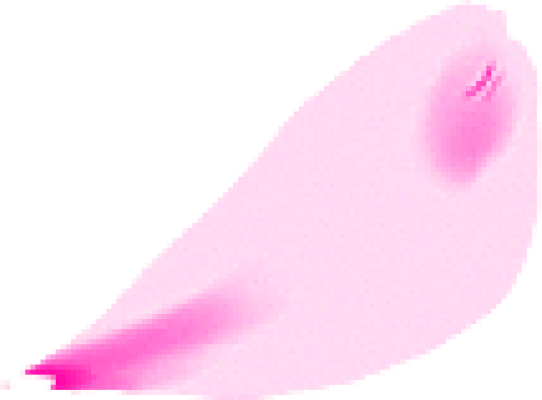 sakura.png