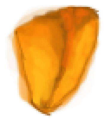 新果皮1.png
