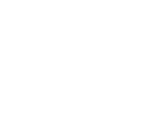 白星星_00000.png