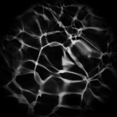 水纹02_1.png