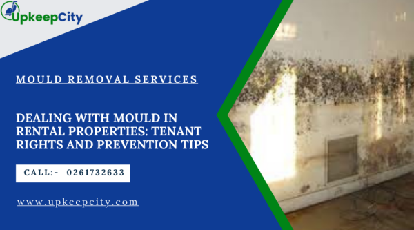 Mould-in-Rental-Properties ..png