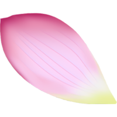 fr_gc1.png