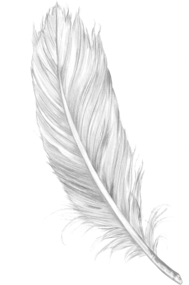 feather.png