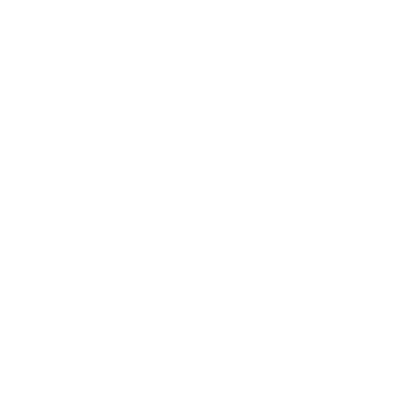 lightning 闪1电.png