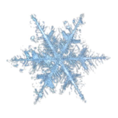 world_snowflake_eff.png