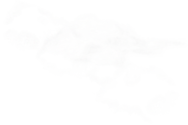 yun.png