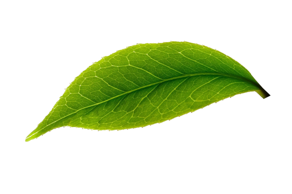 7235befed636e2519d032b11b99c3f4e7f87eb71624a6-XjM1Op.png
