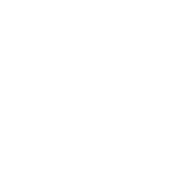 lizi1.png