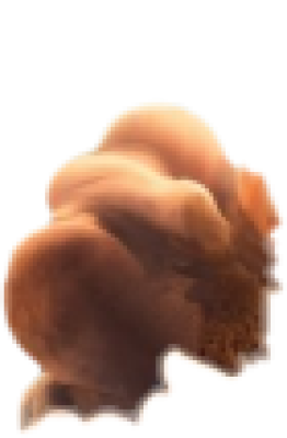duman4.png