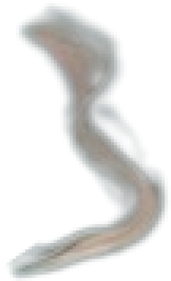 dmn3.png