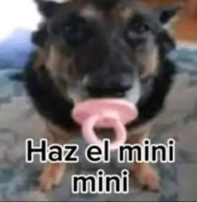images (2).jpeg