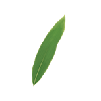 f5c86111ed20363a78b4a0ef80405c6b0ad8558f1c36b0-utDfXK.png
