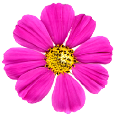 flower3.png