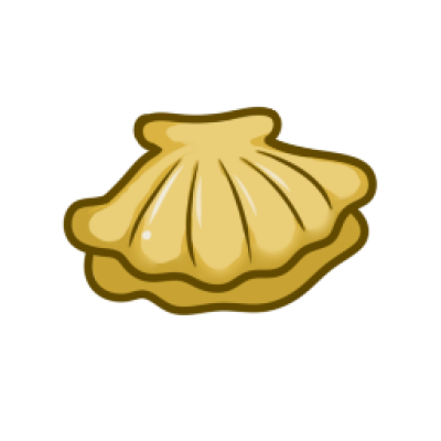 贝壳.png