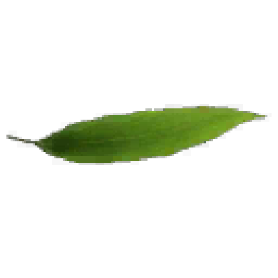 140639iglj5kznilnorp31.png