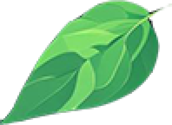 tree3.png