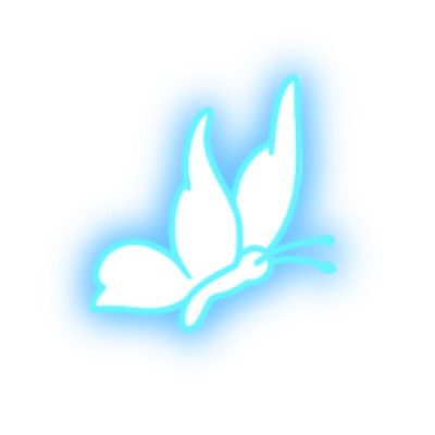 蝴蝶.png