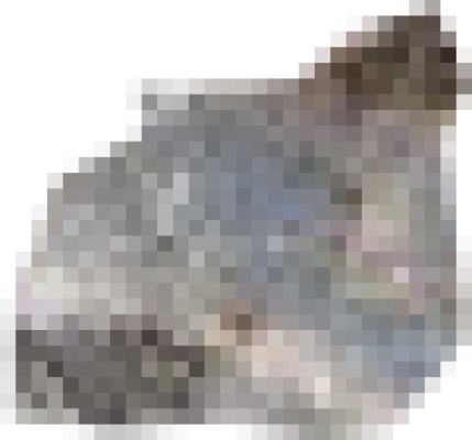 图层 258.png