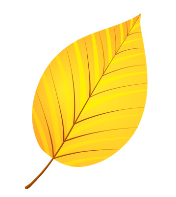 pngwing.com.png